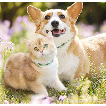 Well Popular Travel Collar For Pet Cats